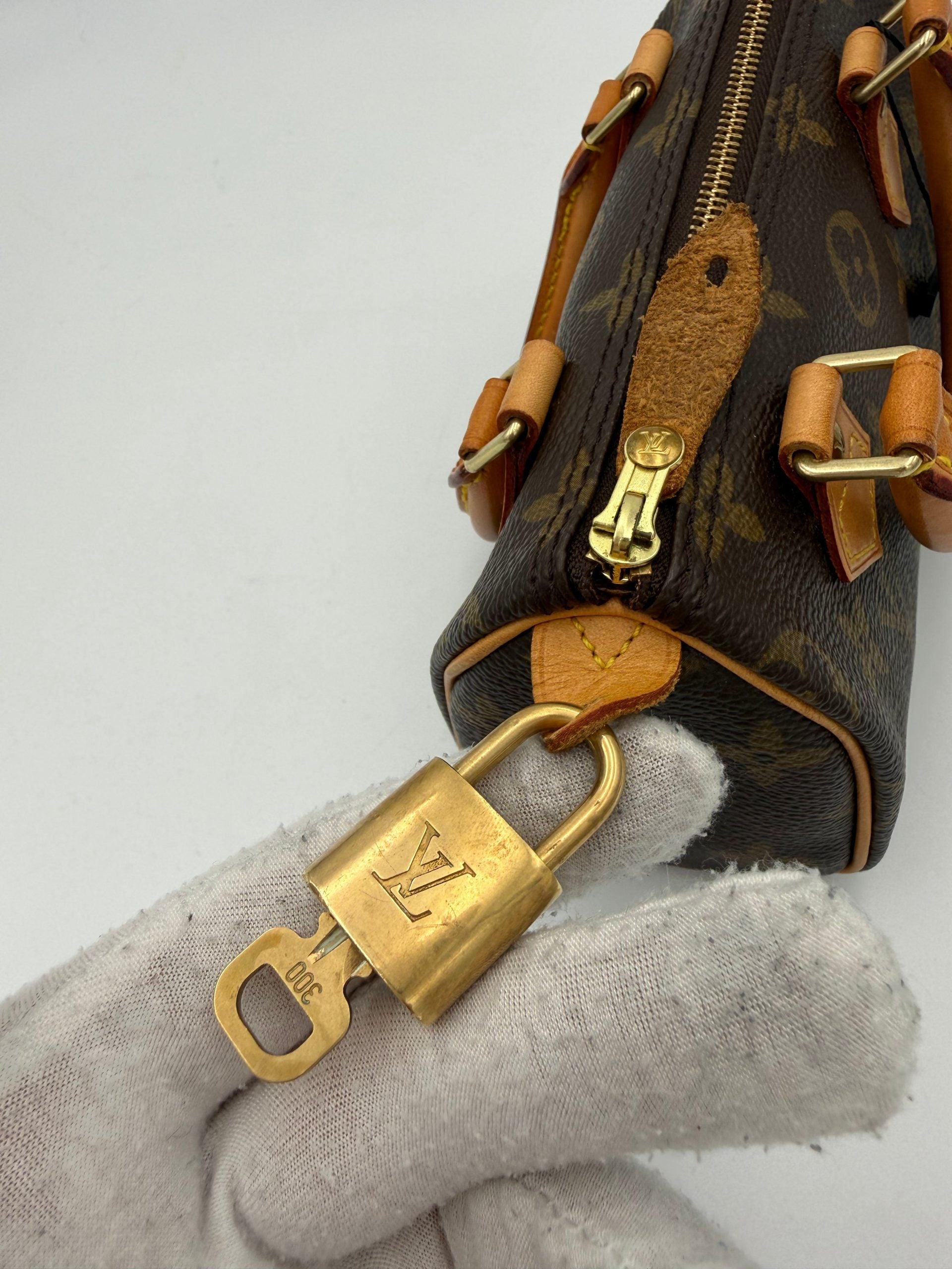 Louis Vuitton Nano Speedy Monogram Handbag