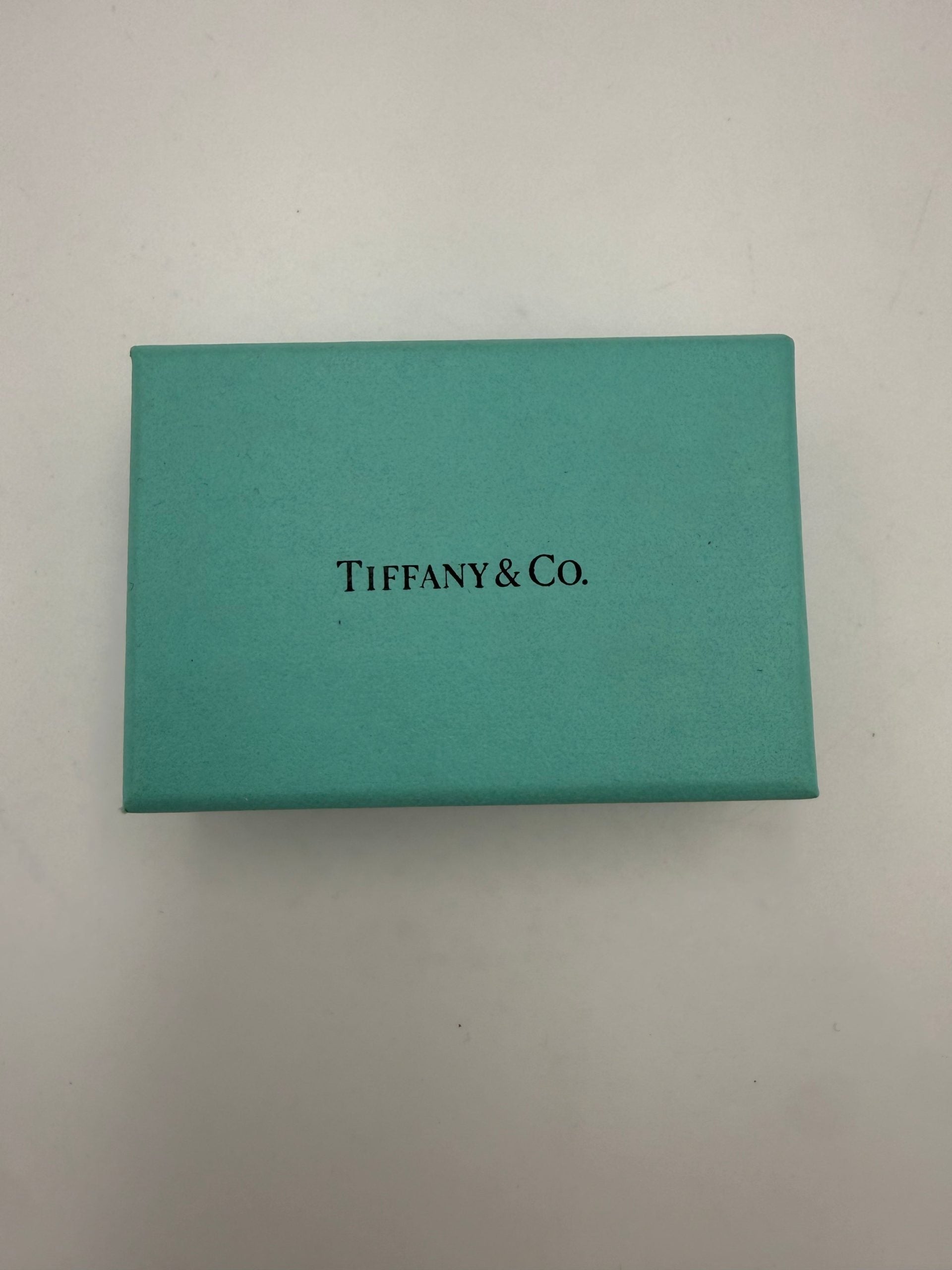 Tiffany & Co. TIFFANY & CO. Silver Bracelet with Double Chain