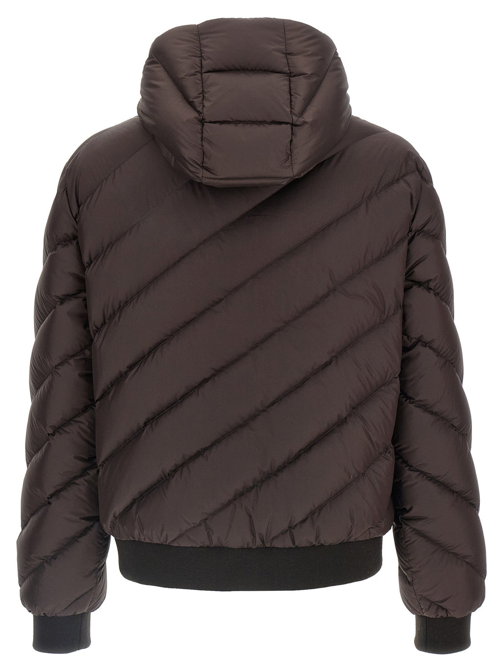 Fendi Multicolor Polyester Shell Jacket