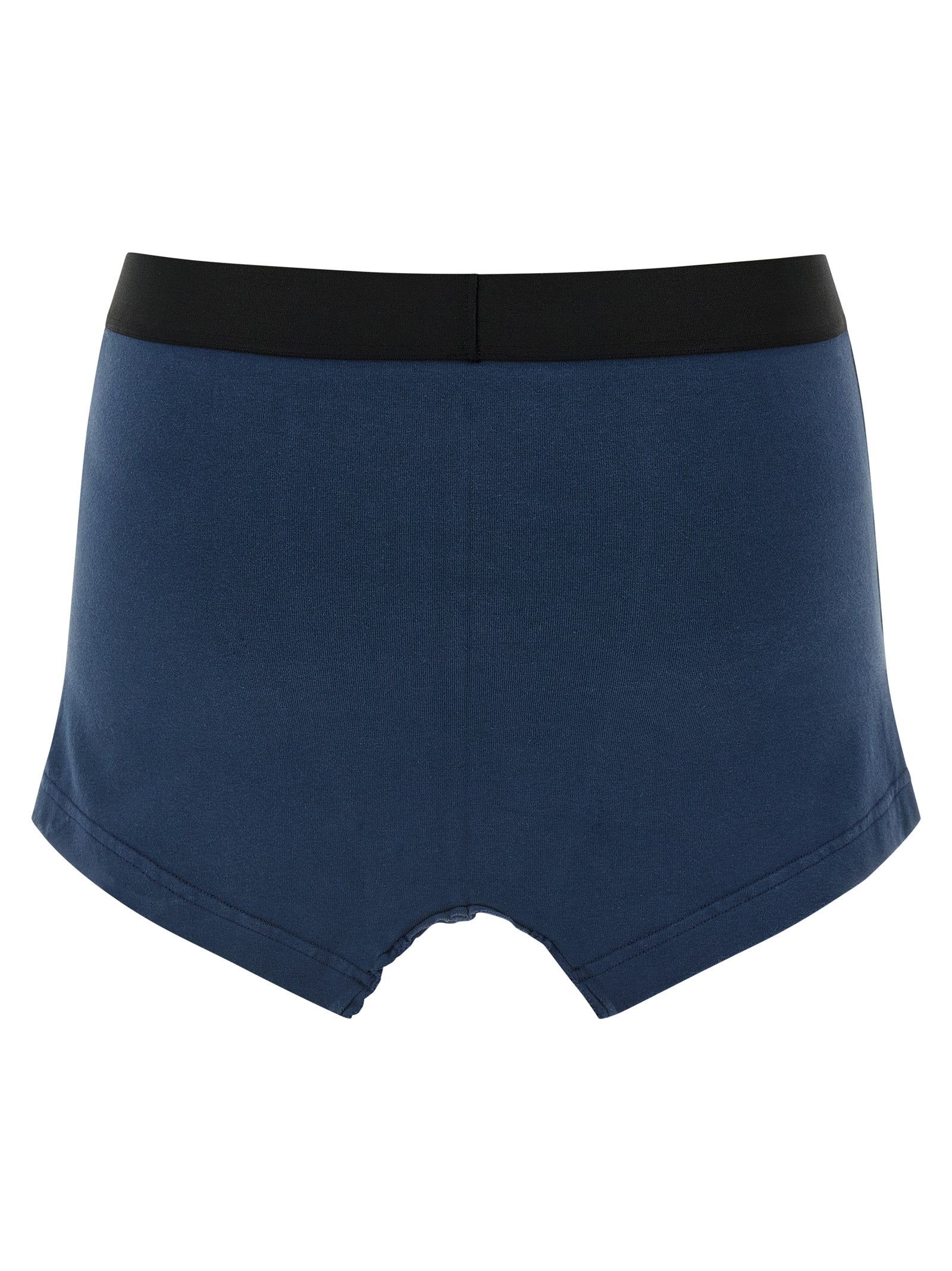Balenciaga Blue Cotton Long Skirt
