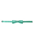 Dolce & Gabbana Mint Green Silk Adjustable Neck Men Bow Tie