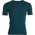 Dolce & Gabbana Blue Green Cotton Round Neck Short Sleeves T-shirt